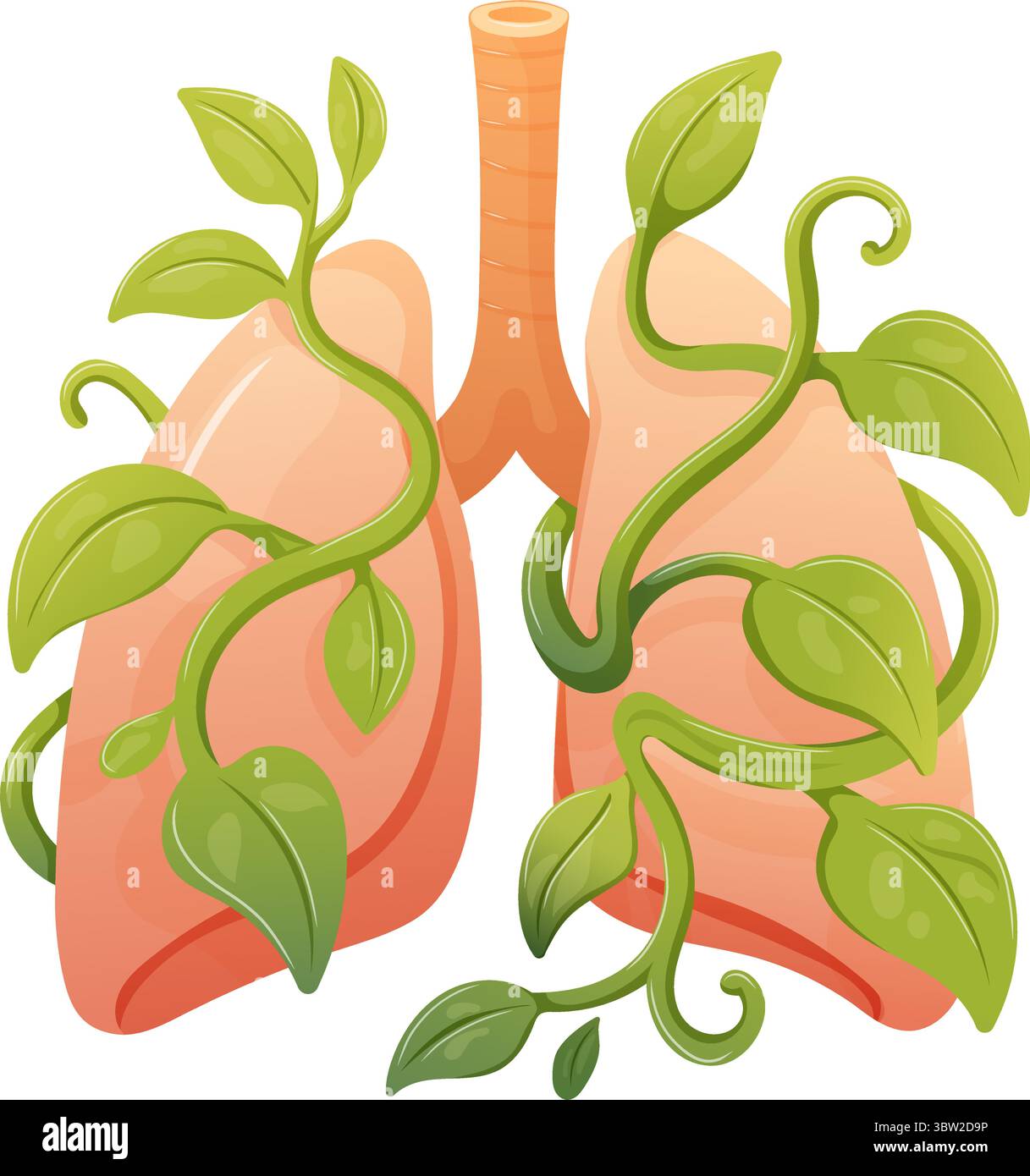 poumons humains sains avec des vignes et des fleurs vertes florissantes, concept de santé pulmonaire Illustration de Vecteur