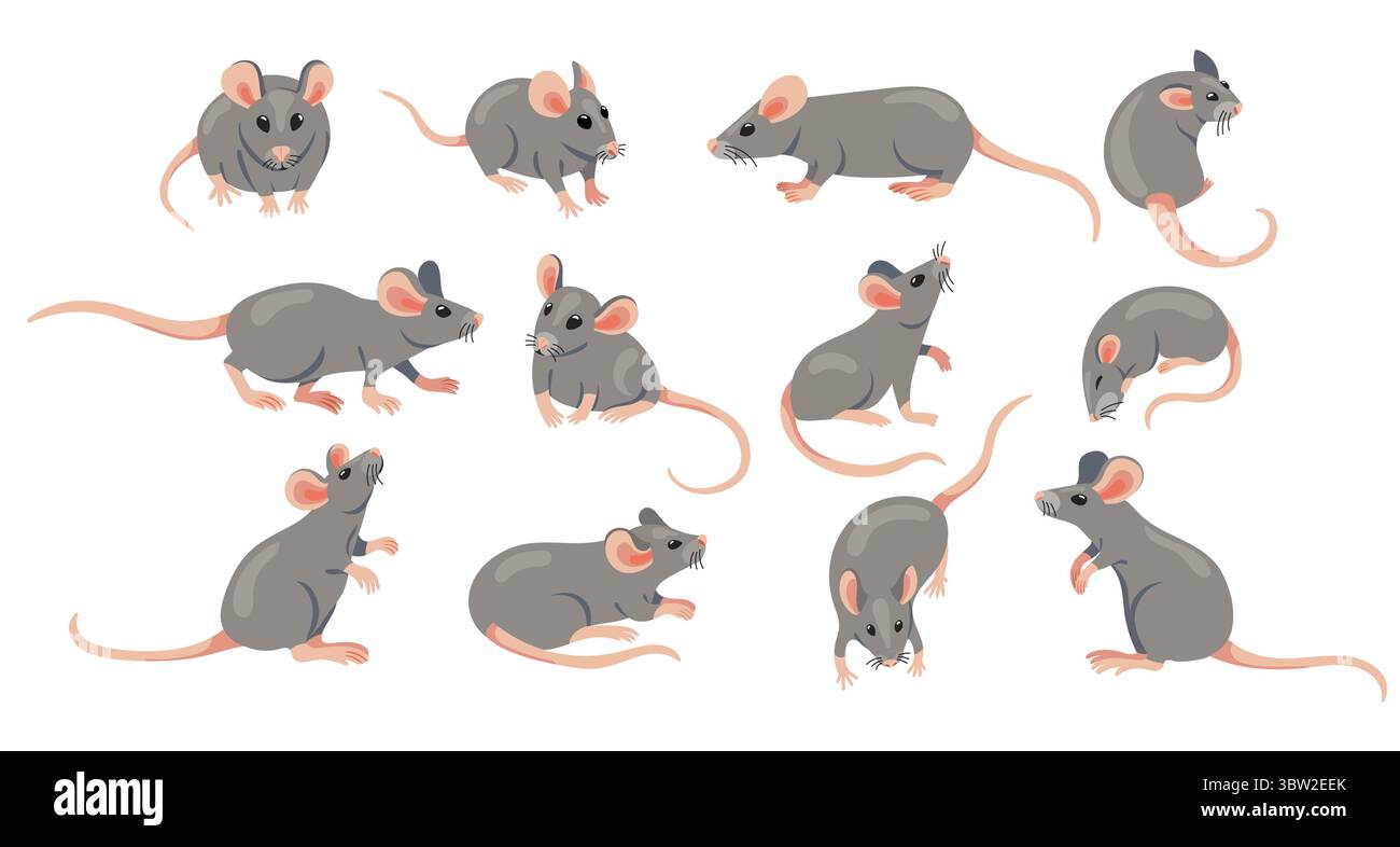 Animal souris. Souris de laboratoire de dessin animé mignon et personnages de rat, créatures de zoo de faune sauvage de rongeurs gris drôles dans différentes poses. Souris vectorielles et Illustration de Vecteur