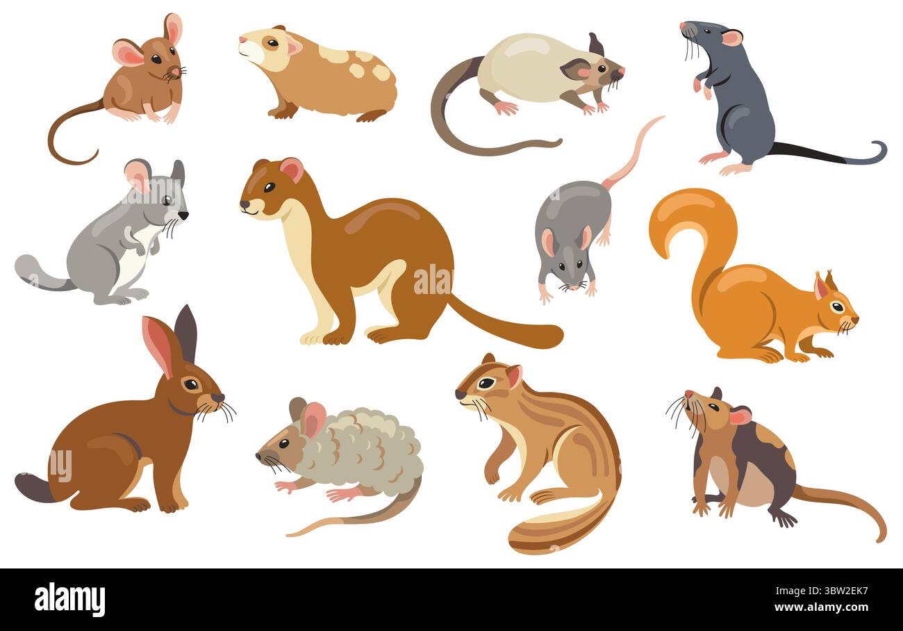 Collecte de rongeurs. Dessins animés mignons petits mammifères, cobaye, hamster, rat, souris, chipmunk, lièvre et écureuil, rongeurs domestiques et animaux domestiques Illustration de Vecteur