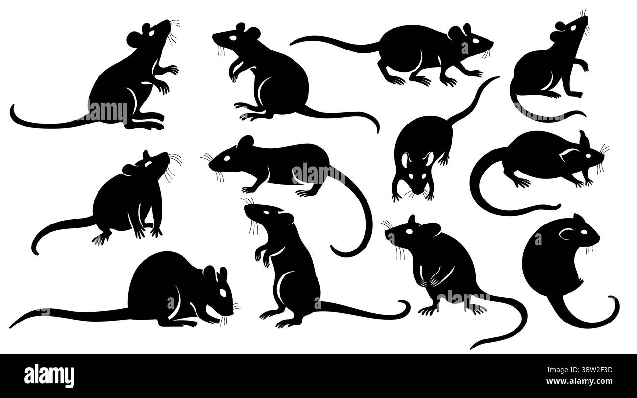 Silhouette de rat. Icônes plates de souris noires, pictogramme animal rongeur sauvage et domestique, concept animal de laboratoire et parasite. Collection isolée par vecteur Illustration de Vecteur