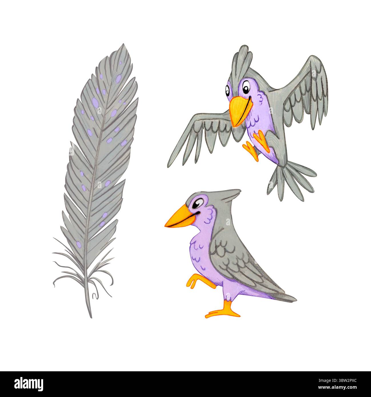 Un ensemble avec deux oiseaux gris et une plume sur fond blanc. Illustration aquarelle d'animaux sauvages. Oiseau de dessin animé avec un grand bec. Convient pour pos Banque D'Images