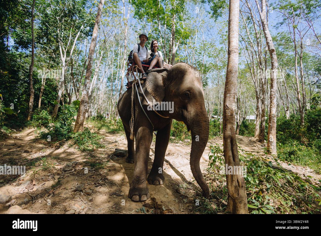 Deux coureurs s'assoient confortablement au sommet d'un éléphant doux qui navigue sur un chemin sinueux à travers une jungle vibrante remplie d'arbres et de lumière du soleil, créant un s. Banque D'Images