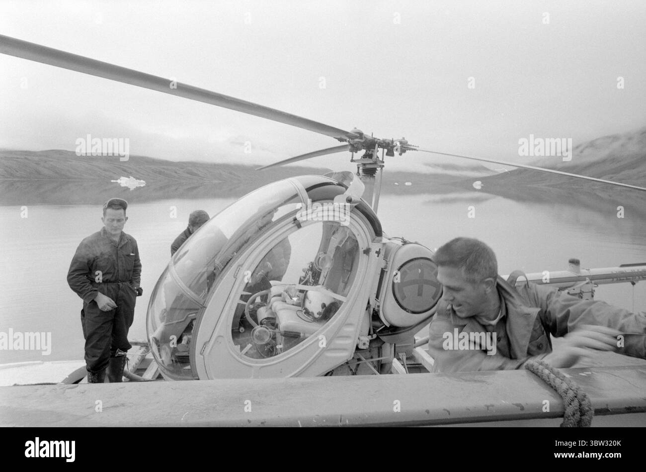 Aktuell 37 - 3 - 1969 : un navire sera chargé avec muskratsNorway le nouveau bétail est muskrats. Pour la première fois dans l'hémisphère oriental, l'élevage du rat musqué deviendra une source de revenus. La première ferme de rats musqués est située à Bardu à Troms. Norsk Moskus AS utilisera les animaux pour la production de laine. 25 veaux ont été capturés récemment au Groenland puis transportés en Norvège par bateau. Deux des employés d'Aktuell étaient présents lors de la capture - en tant que seul personnel de presse. Photo : Aage Storløkken / Aktuell / NTB ***PHOTO NON TRAITÉE*** *texte traduit automatiquement* Banque D'Images