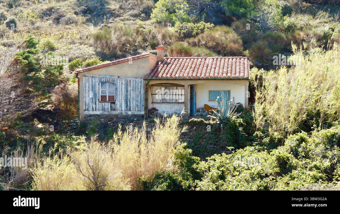 Cottage rustique en pierre et végétation méditerranéenne, collines près de Collioure, France Banque D'Images