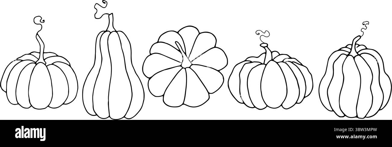 Ensemble citrouille. Différentes formes de nourriture naturelle. Graphique noir simple, dessiné à la main dans le style doodle. Illustration vectorielle de légume d'automne, baie Illustration de Vecteur