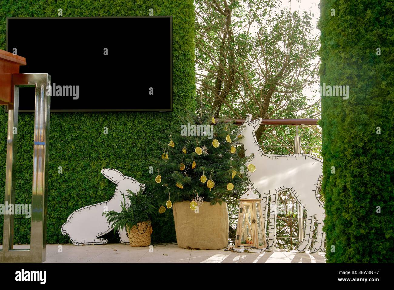 Une scène de plein air vibrante comprend un mur de verdure artificielle, un arbre décoré de citrons et de charmantes illustrations animales pour une ambiance festive et accueillante Banque D'Images