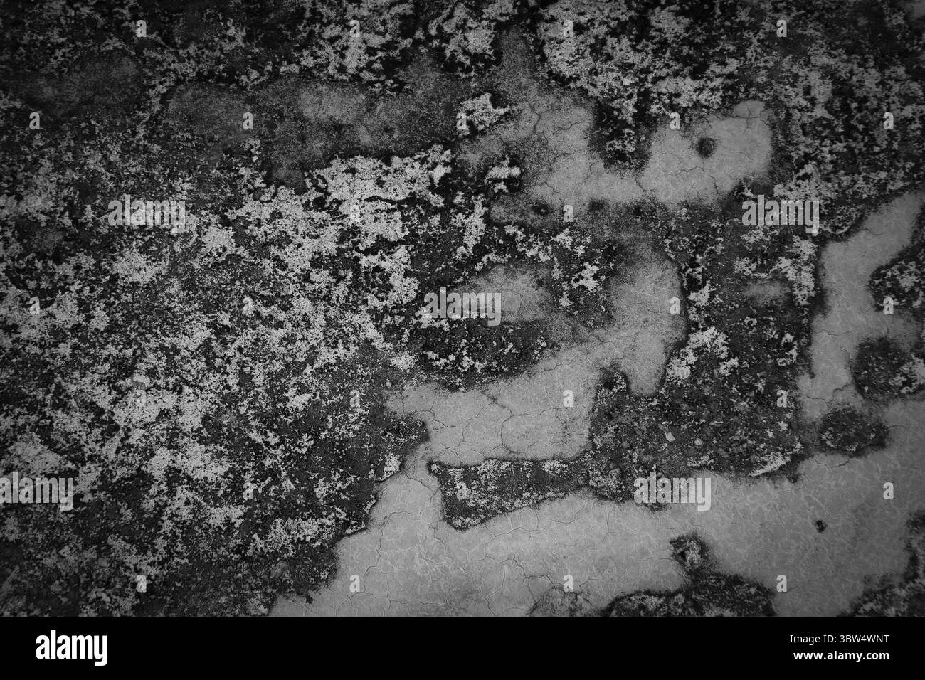 fond de mur en béton texturé noir et blanc Banque D'Images