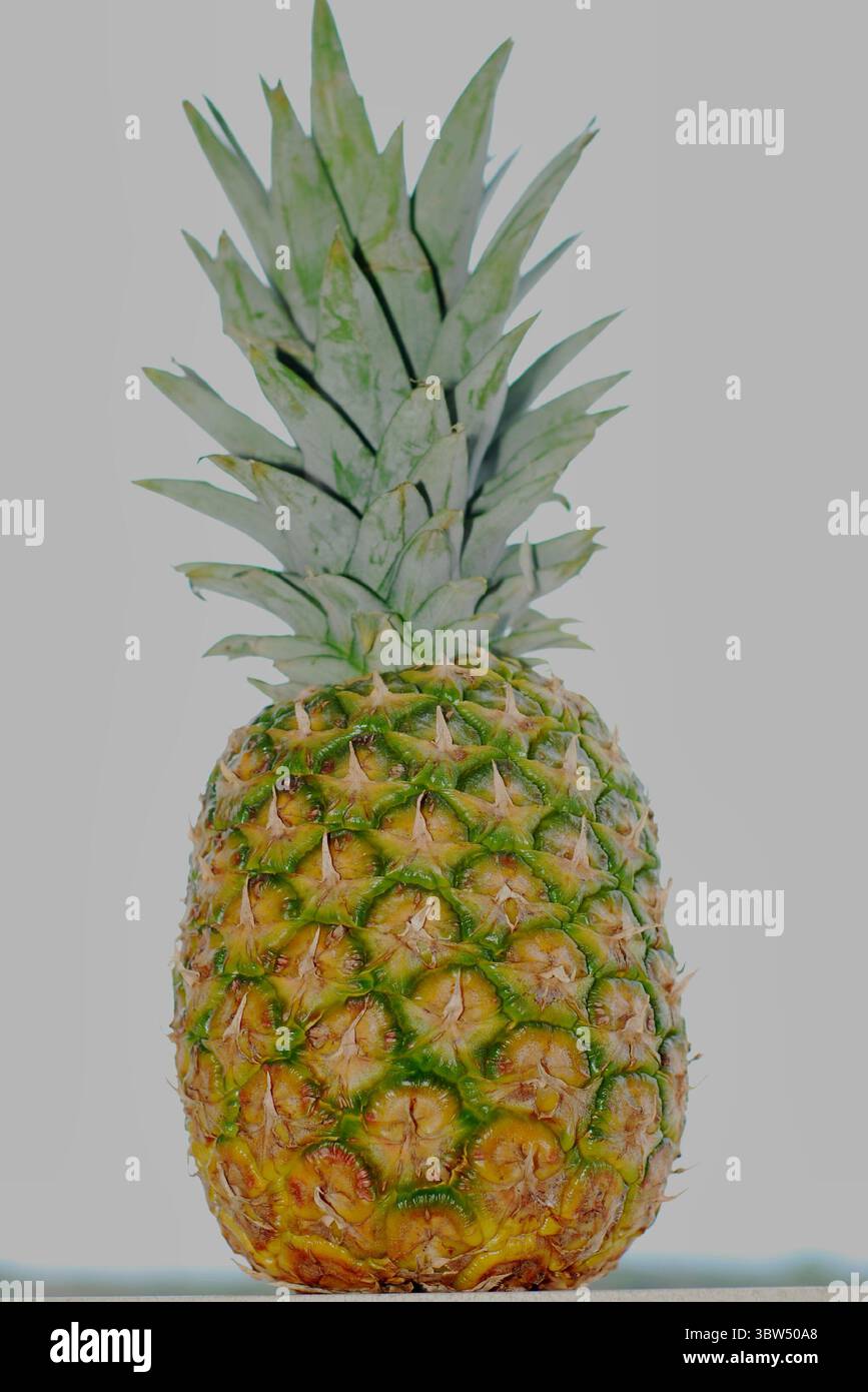 Ananas ! Ce fruit merveilleux pour les chaudes journées d'été ! Seul ou combiné avec d'autres fruits ou aliments, il est délicieux Banque D'Images