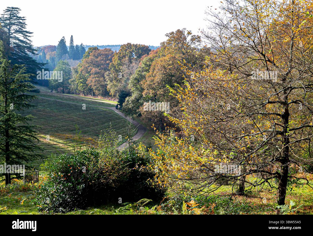 7 novembre 2020 : Haywards Heath, Angleterre. Vues pittoresques sur les jardins botaniques et le manoir de la fin du XVIe siècle de Wakehurst, qui sont situés près de Haywards Heath, dans le comté sud anglais de West Sussex. Le paysage de Wakehurstâ€™ couvre environ 490 acres de végétation, y compris différents jardins, réserves naturelles, zones boisées et marécageuses. Il comprend également la Banque de semences du millénaire de Kew, qui est considérée comme le plus grand projet de conservation des semences au monde. Wakehurst est la propriété du National Trust tout en étant géré et géré par les jardins botaniques royaux de Kew (crédit image : © Matt Duckett/IMA Banque D'Images