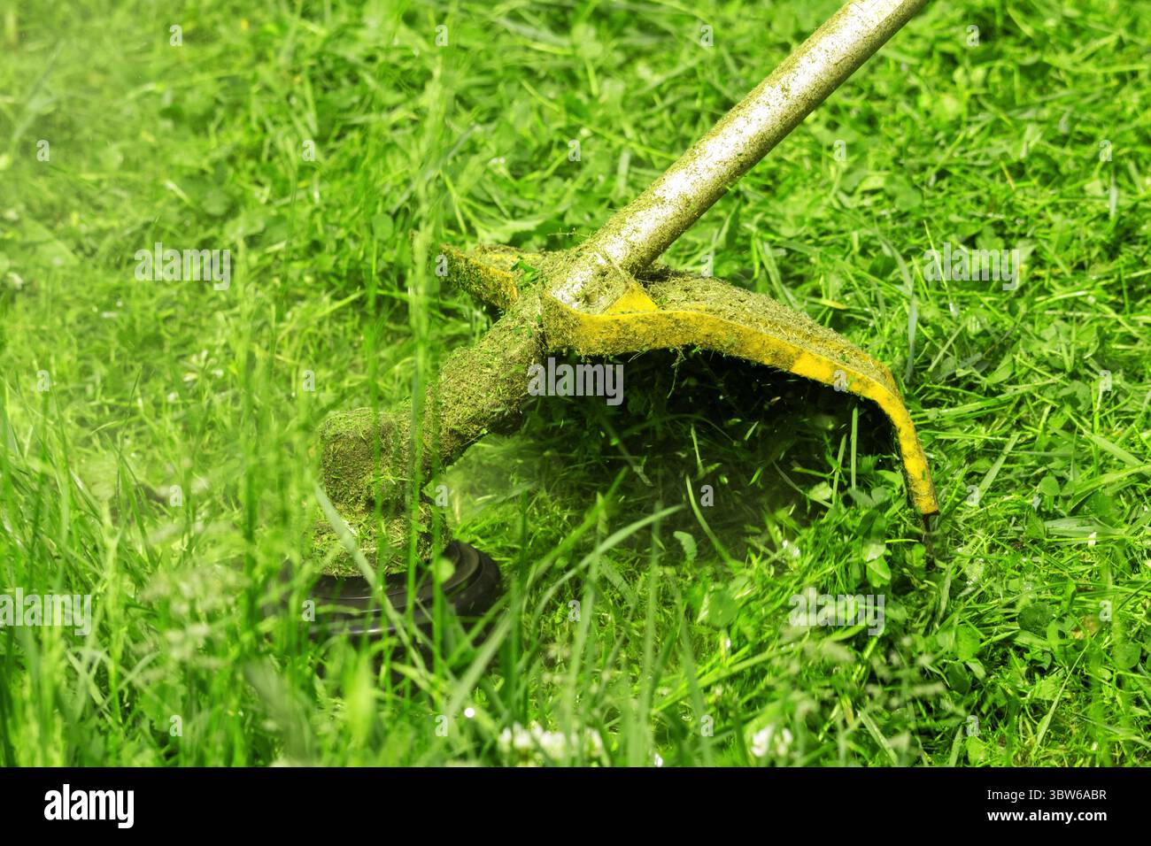Un moulinet de coupe-herbe à fil tond l'herbe fraîche un matin de printemps ou d'été Banque D'Images