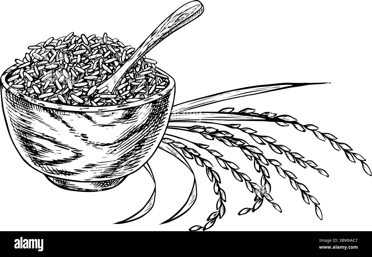 Riz ou avoine, blé ou seigle dans un bol en bois, avec des tiges de riz à côté. Graphiques en noir et blanc, illustrations vectorielles. Elément de conception pour menus Illustration de Vecteur
