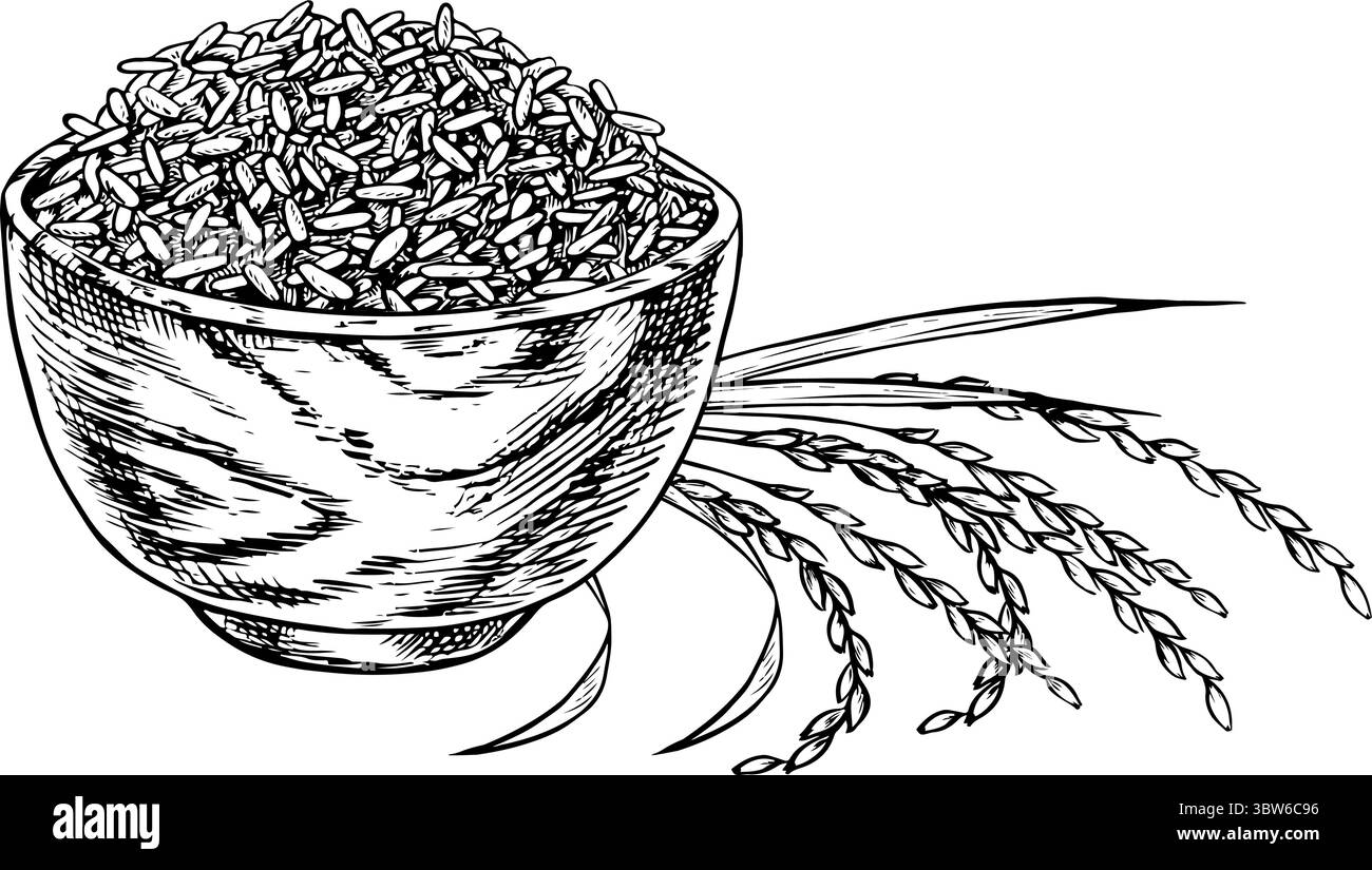 Riz ou avoine, blé ou seigle dans un bol en bois, avec des tiges de riz à côté. Graphiques en noir et blanc, illustrations vectorielles. Elément de conception pour menus Illustration de Vecteur