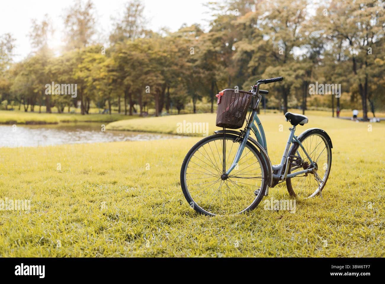 Vélo dans le parc d'automne. Concept de sport et d'activité. Relax et concept d'activité. Thème loisirs et nature. Thème de ton jaune Banque D'Images