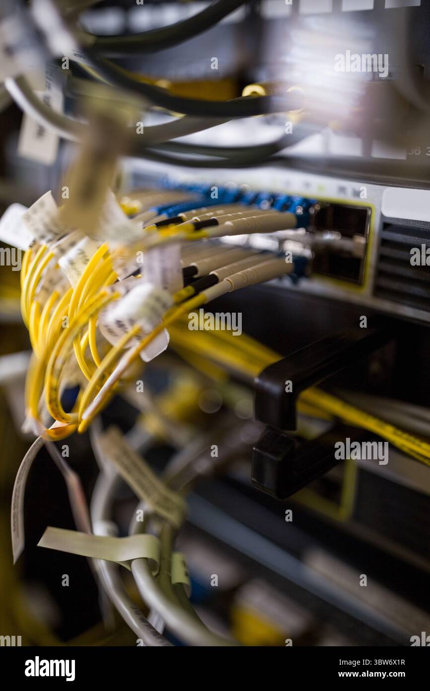 Le panneau de brassage à fibre optique avec câbles jaunes est présenté dans une conception plate à l'intérieur du rack de serveur Banque D'Images