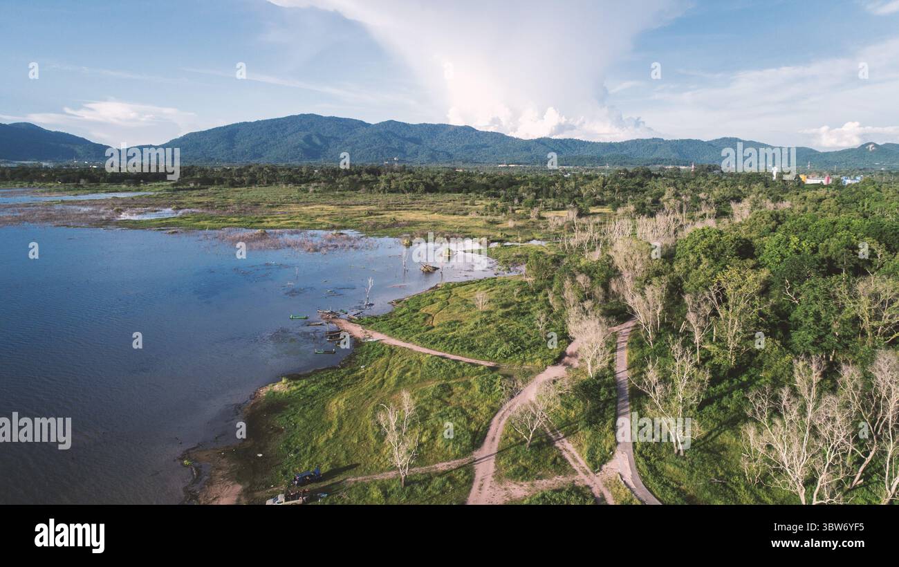 Vue aérienne du lac le long de la forêt par drone. Thème du paysage et de la nature Banque D'Images