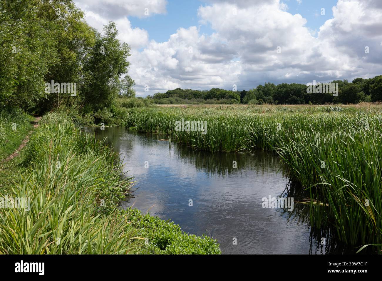 Wensum Chalk stream Fakenham Banque D'Images