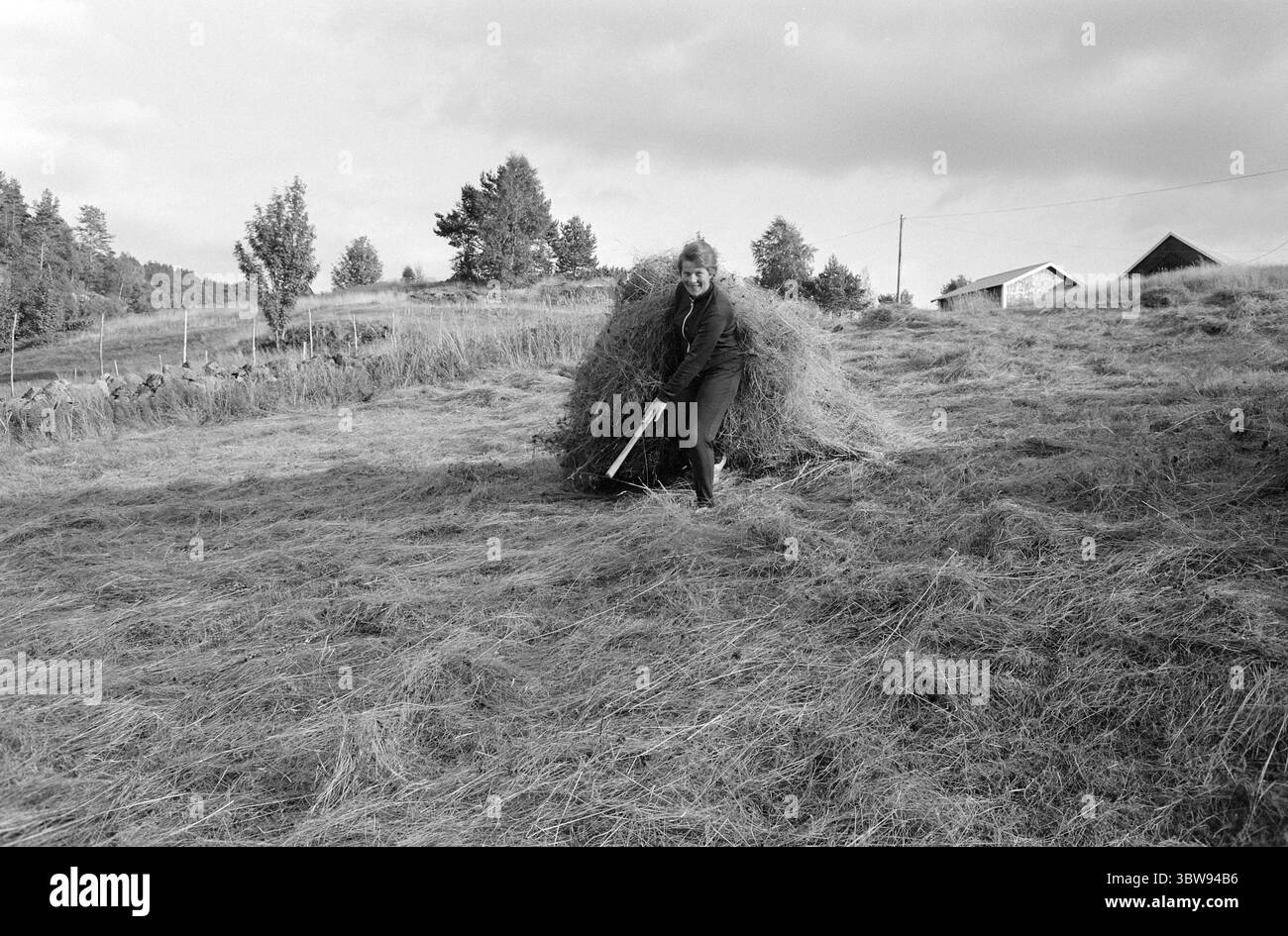 Current 36-8-1971 : beaucoup de fers dans le feu. Nerstøl est une petite ferme de santé à Vest-Agder, que la fille excédentaire Borghild Werdal dirige avec enthousiasme et enthousiasme. Hoyonn. Photo : Ivar Aaserud / Aktuell / NTB ***la photo n'est pas traitée*** Banque D'Images
