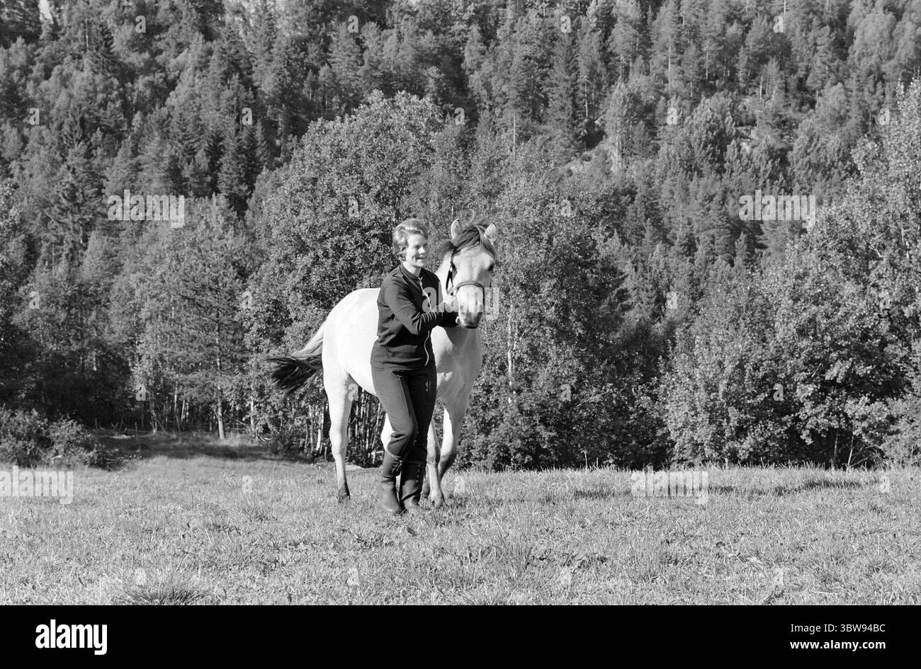 Current 36-8-1971 : beaucoup de fers dans le feu. Nerstøl est une petite ferme de santé à Vest-Agder, que la fille excédentaire Borghild Werdal dirige avec enthousiasme et enthousiasme. Photo : Ivar Aaserud / Aktuell / NTB ***la photo n'est pas traitée*** Banque D'Images