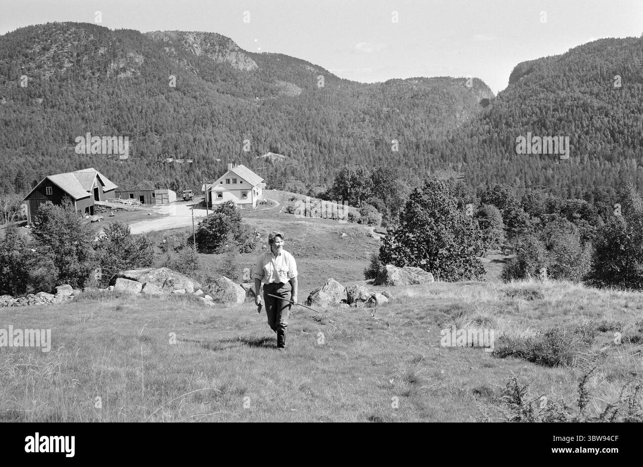 Current 36-8-1971 : beaucoup de fers dans le feu. Nerstøl est une petite ferme de santé à Vest-Agder, que la fille excédentaire Borghild Werdal dirige avec enthousiasme et enthousiasme. Photo : Ivar Aaserud / Aktuell / NTB ***la photo n'est pas traitée*** Banque D'Images