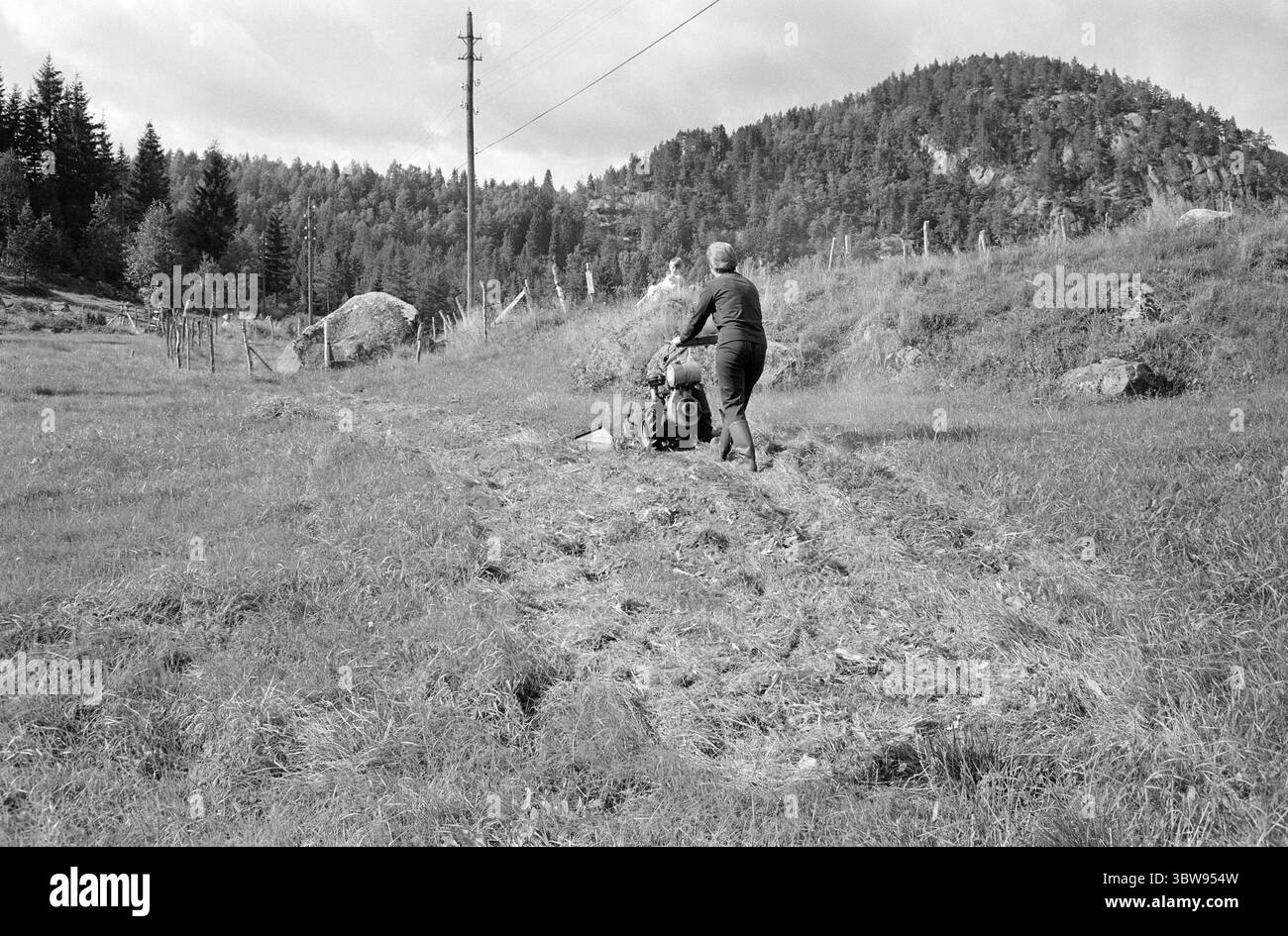Current 36-8-1971 : beaucoup de fers dans le feu. Nerstøl est une petite ferme de santé à Vest-Agder, que la fille excédentaire Borghild Werdal dirige avec enthousiasme et enthousiasme. Ici, avec un tracteur portatif à deux roues.photo : Ivar Aaserud / Aktuell / NTB ***la photo n'est pas traitée*** Banque D'Images