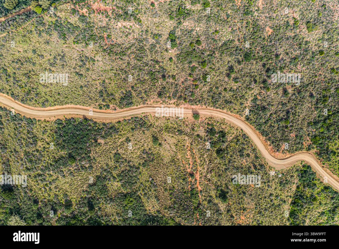 Vue aérienne d'un chemin de terre sinueux tranchant à travers le terrain accidenté, contrastant avec la végétation verdoyante, Sierra de las Nieves, Andalousie, Espagne. Banque D'Images