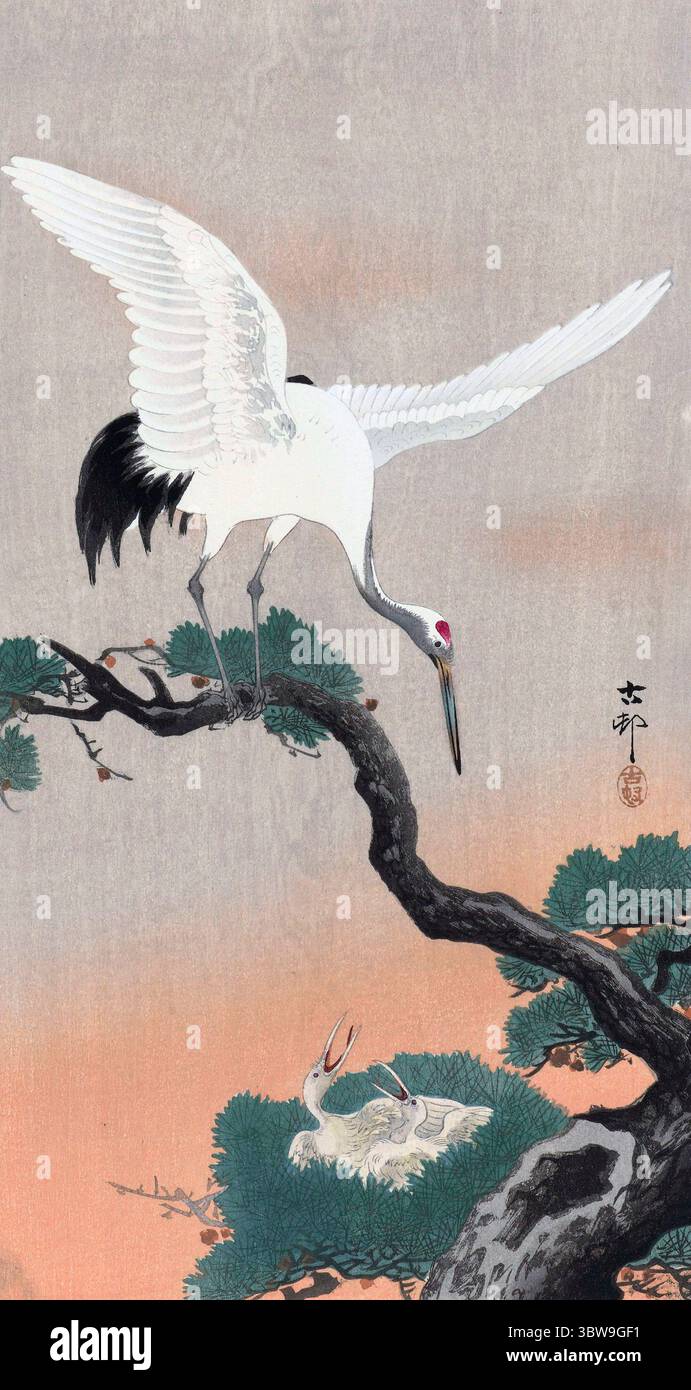 Ohara Koson. Gravure sur bois intitulée « grue japonaise sur la branche d'un pin » par le graveur japonais Ohara Koson (aussi Ohara Hōson, Ohara Shōson : 1877-1945), vers 1900-1930 Banque D'Images