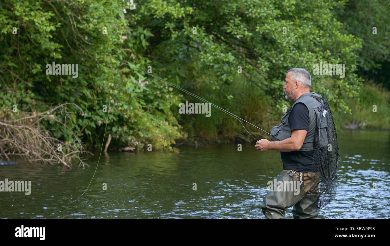 Pêcheur à la mouche de truite sur l'est de Cleddau, Pembrokeshire, pays de Galles, Royaume-Uni Banque D'Images