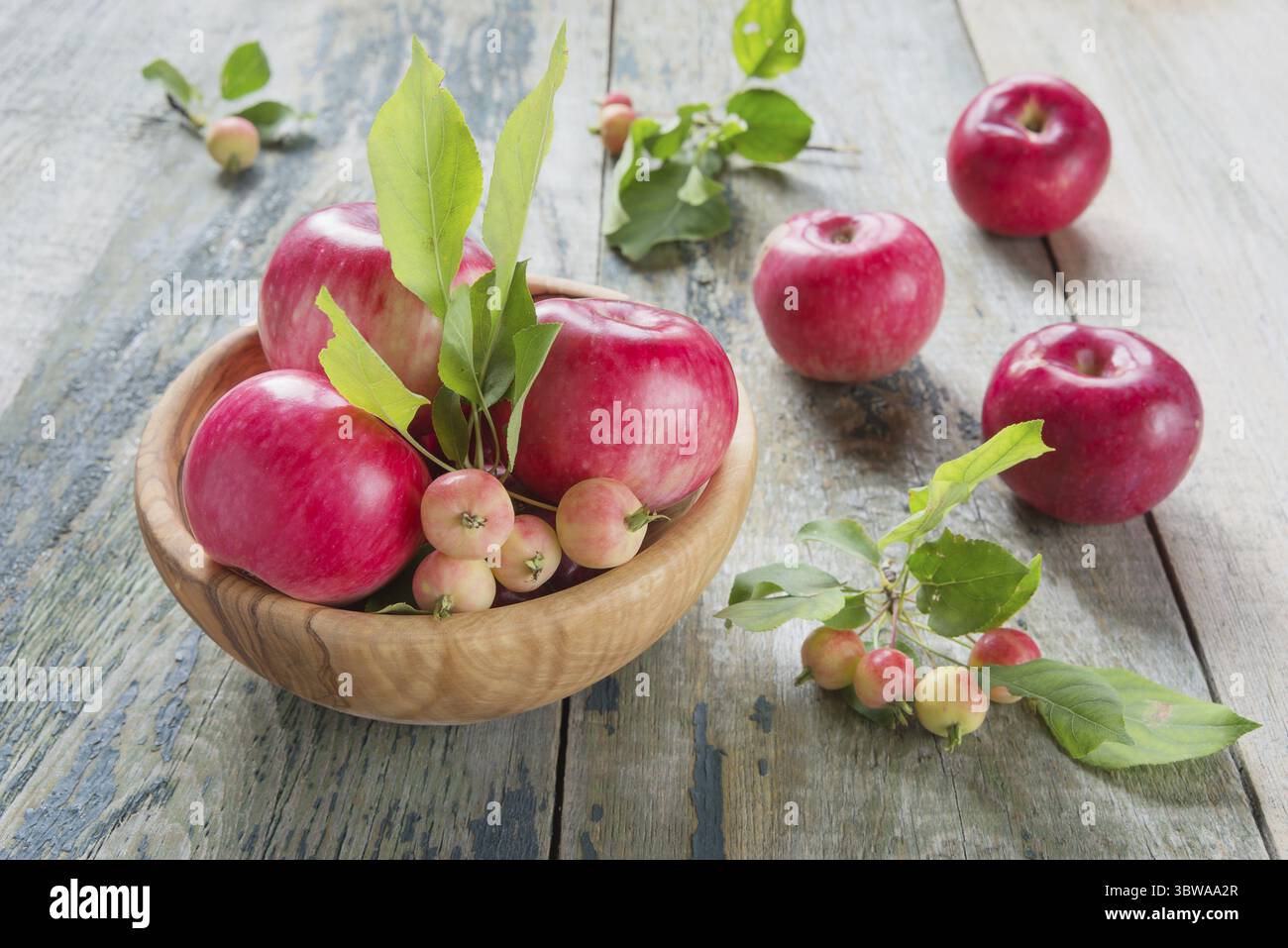 Plusieurs pommes rouges avec des feuilles vertes reposent dans un bol en bois sur la vieille table en bois Banque D'Images