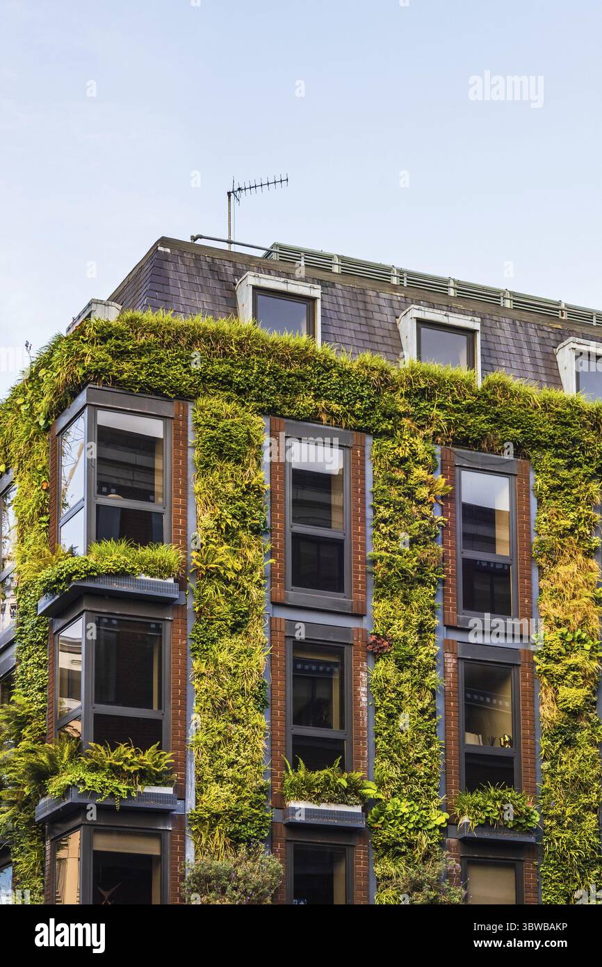 L'architecture urbaine rencontre la nature avec un bâtiment enveloppé de lierre, mettant en valeur des éléments de design vert et durable Banque D'Images