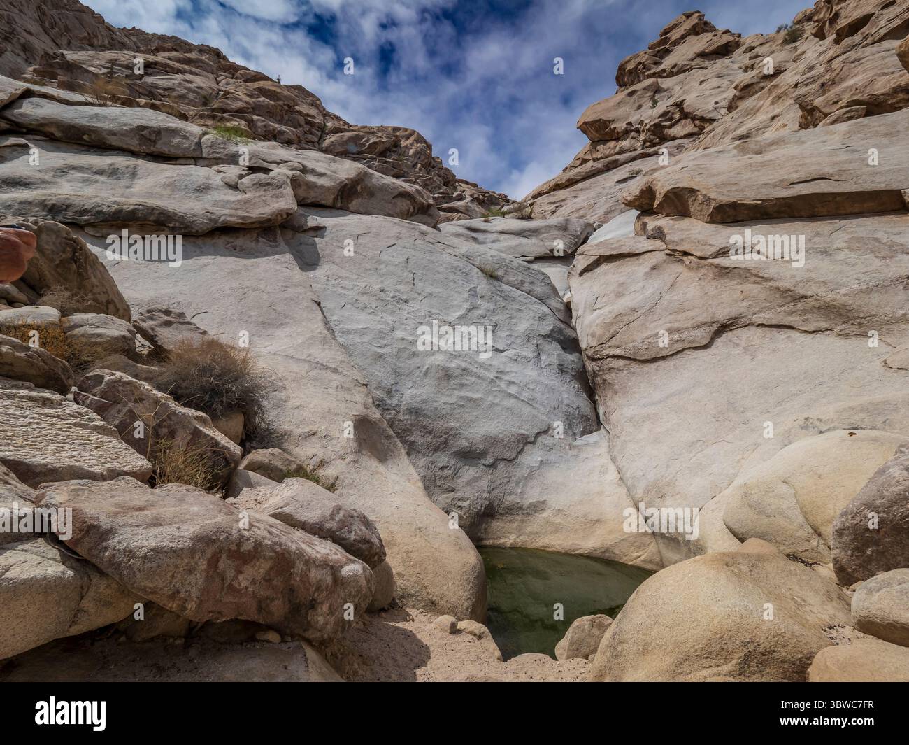 tinaja, tinajas Altas Mountains, Barry M. Goldwater Range, Yuma, Arizona. Banque D'Images