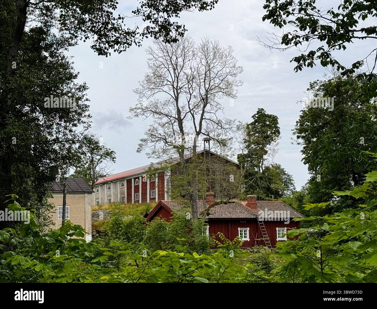 Maisons de village finlandaises entourées d'arbres d'été : village traditionnel en plein air vue sur la zone du musée à Fagervik, région d'Uusimaa, Finlande. Bois historique - Image de stock capturée avec un smartphone