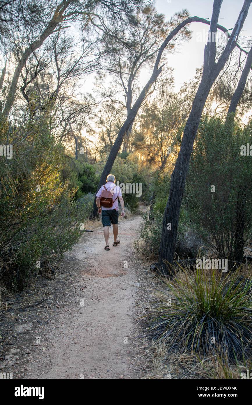 Un homme marche dans la brousse à Wave Rock, Hyden, Australie occidentale, Banque D'Images