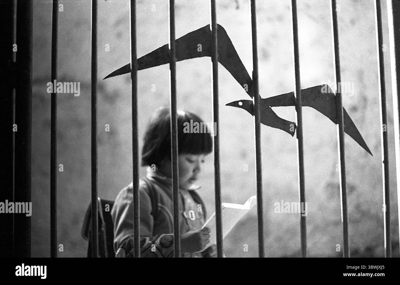 Etudiant de l'école primaire chinoise des années 1990 lisant derrière un écran en fer forgé avec une silhouette d'oiseau de mer Banque D'Images