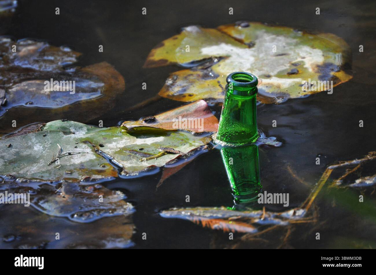 Bouteille de bière verte dans l'eau du lac - ordures qui polluent et contaminent la nature Banque D'Images