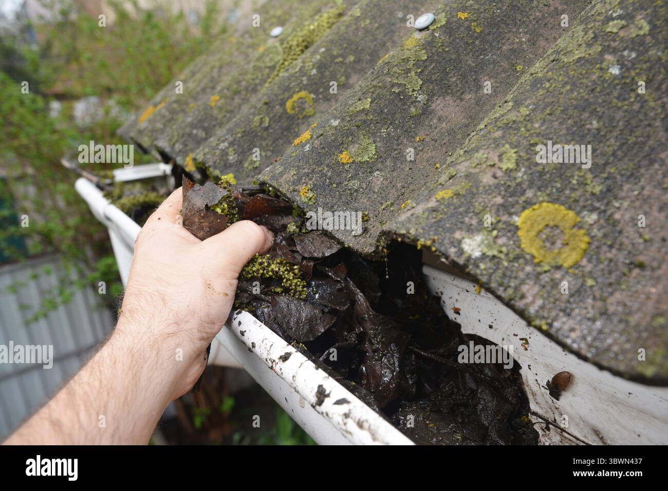 Nettoyage couvreur avec gouttière de toit de feuilles mortes et la saleté à l'automne. Banque D'Images