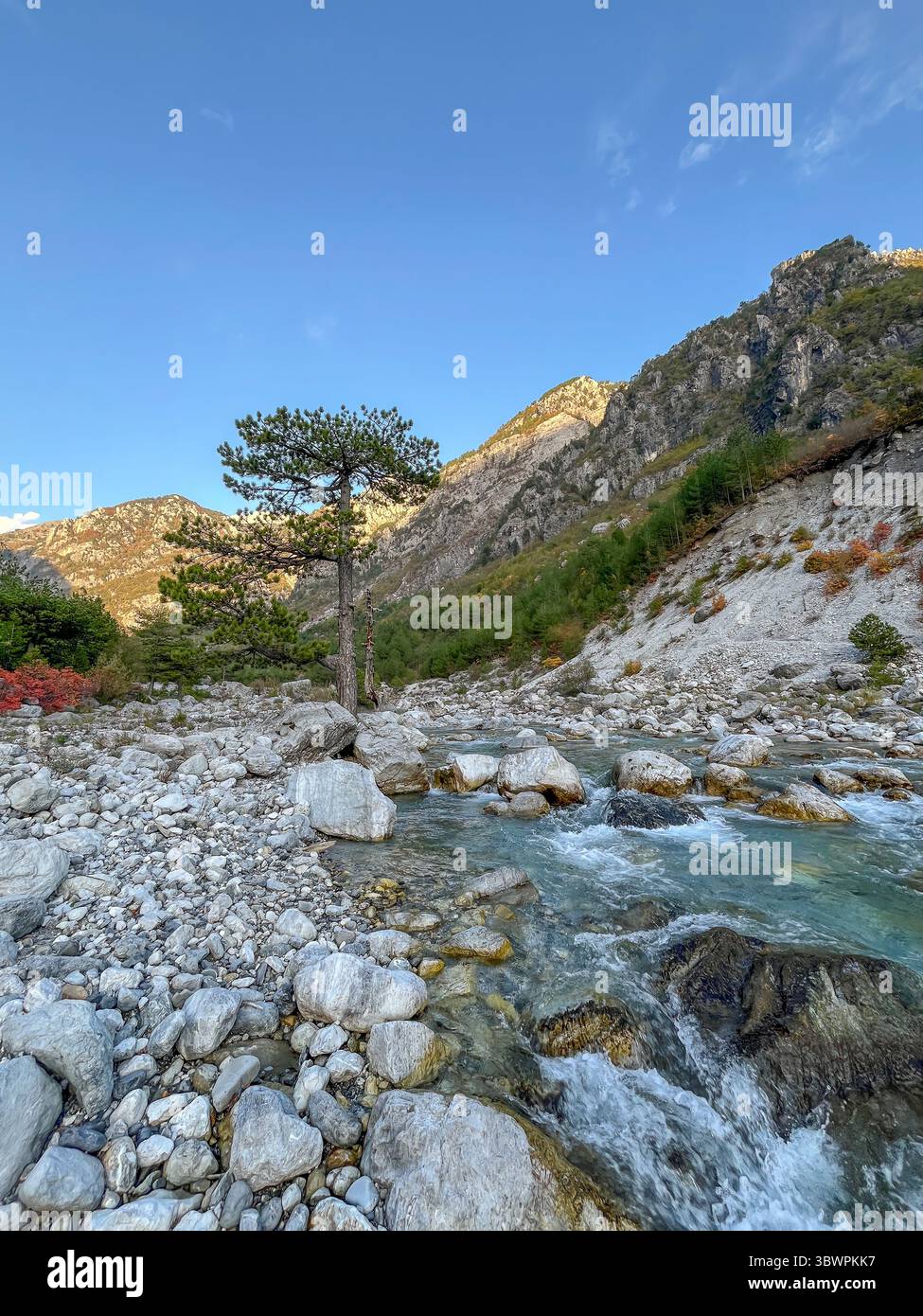 Ruisseau de montagne clair coulant à travers un terrain rocheux avec des pins et des collines boisées abruptes dans le nord de l'Albanie sous un ciel bleu. Banque D'Images