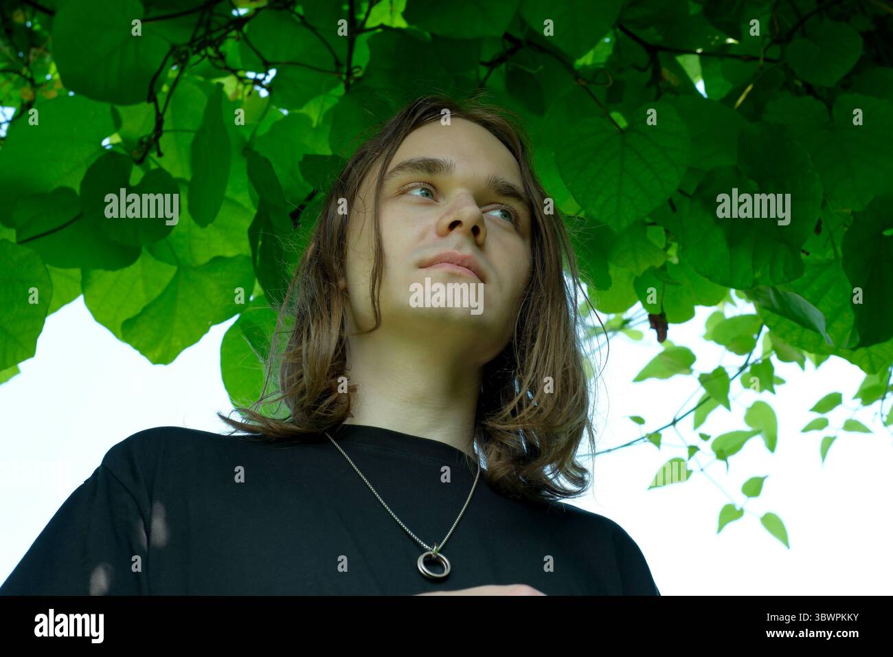 Un jeune individu regarde soigneusement vers le haut tout en étant sous un feuillage vert luxuriant. Banque D'Images