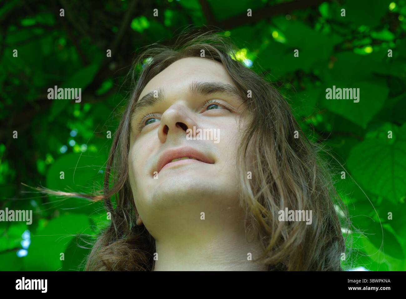 Une jeune personne regarde vers le haut, immergée dans la tranquillité sous des feuilles vibrantes. Banque D'Images