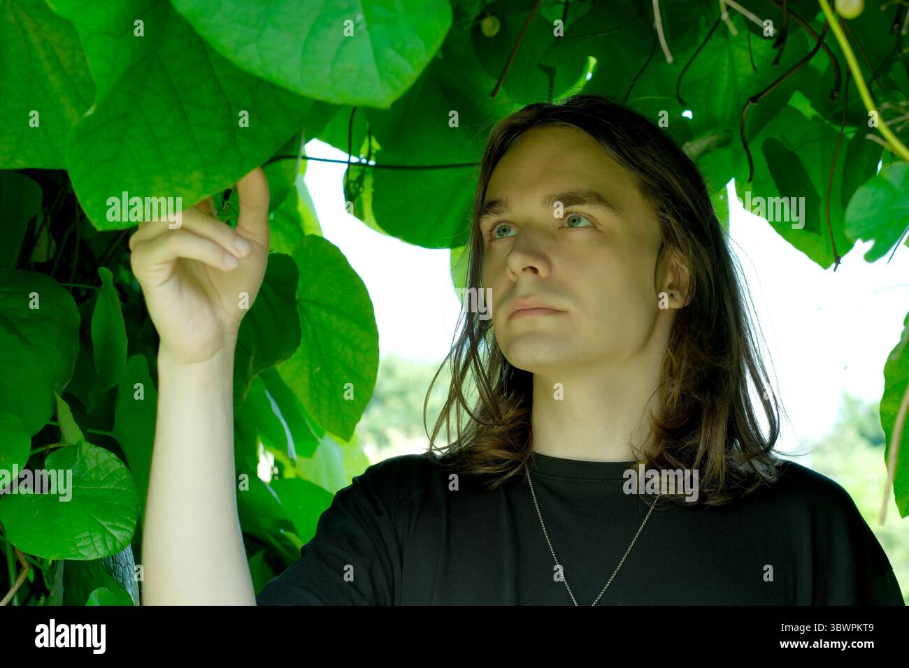 Une jeune personne admire le feuillage vif tout en atteignant une feuille au-dessus. Banque D'Images