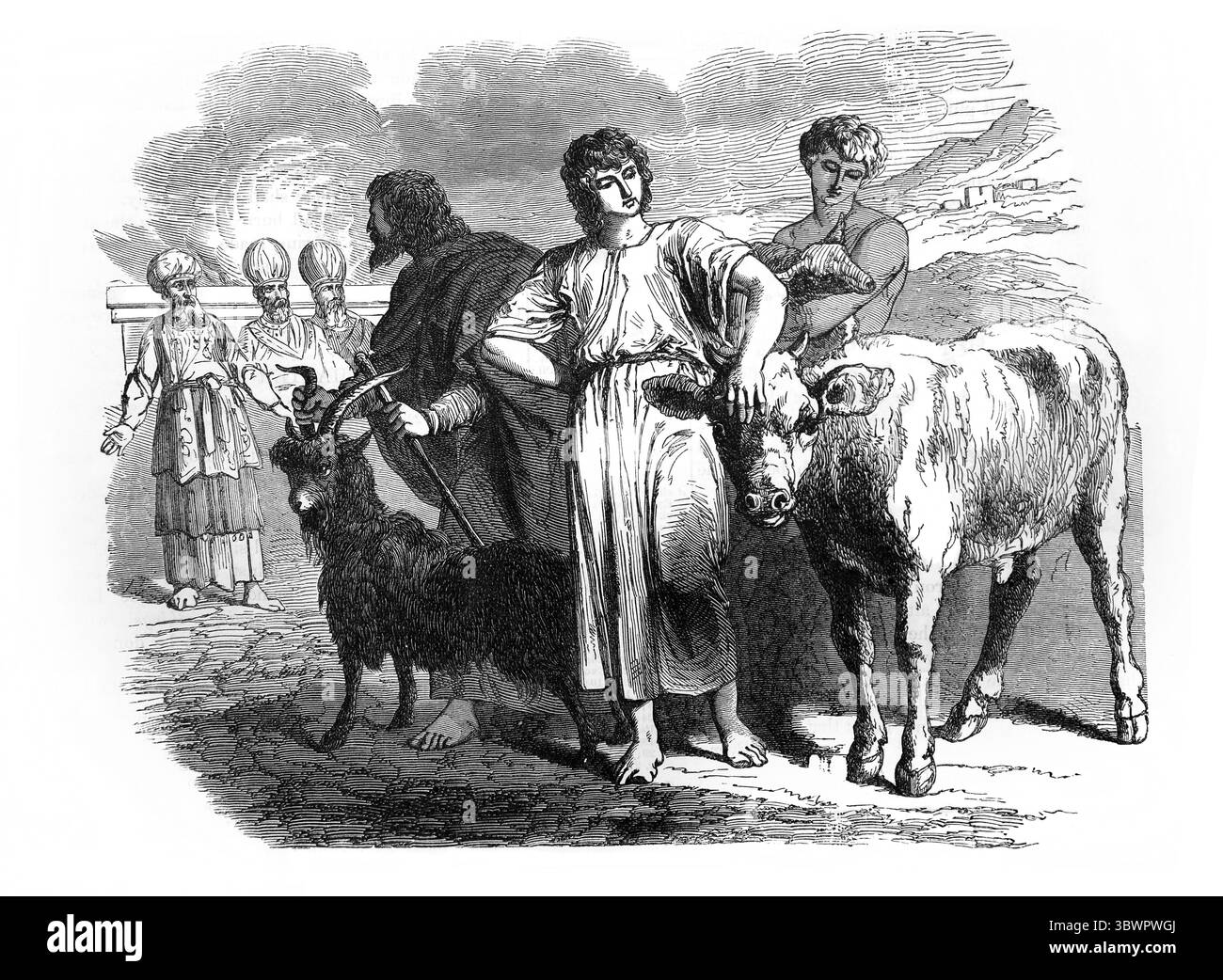 Illustration de l'offrande de péché de l'ignorance (Lévitique IV) de l'ancien XIXe siècle la Sainte Bible contenant l'ancien et le Nouveau Testament avec Expla Banque D'Images