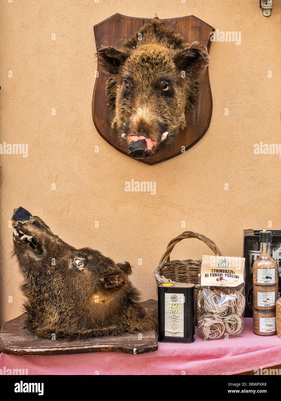 Têtes de sanglier sur le mur du magasin de boucherie, vendant des charcuteries, des saucisses, du salami et des truffes noires, Corso Sertorio dans la ville de Norcia, Ombrie, Italie Banque D'Images