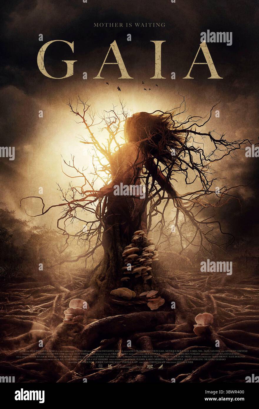 Gaia (2021) réalisé par Jaco Bouwer et mettant en vedette Monique Rockman, Carel Nel et Alex van Dyk. Un garde forestier en mission de surveillance rencontre un mystérieux survivaliste et découvre une force sombre et ancienne qui se cache dans la nature sauvage. Affiche britannique une feuille À USAGE ÉDITORIAL EXCLUSIF. Crédit : BFA / Neon Banque D'Images