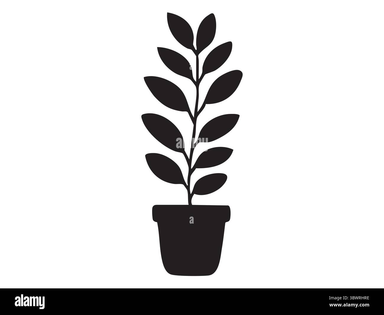 Silhouette noire de plante en pot isolée sur fond blanc, illustration graphique. concept de plante d'intérieur, botanique, décoration intérieure, vie verte, plante ca Illustration de Vecteur