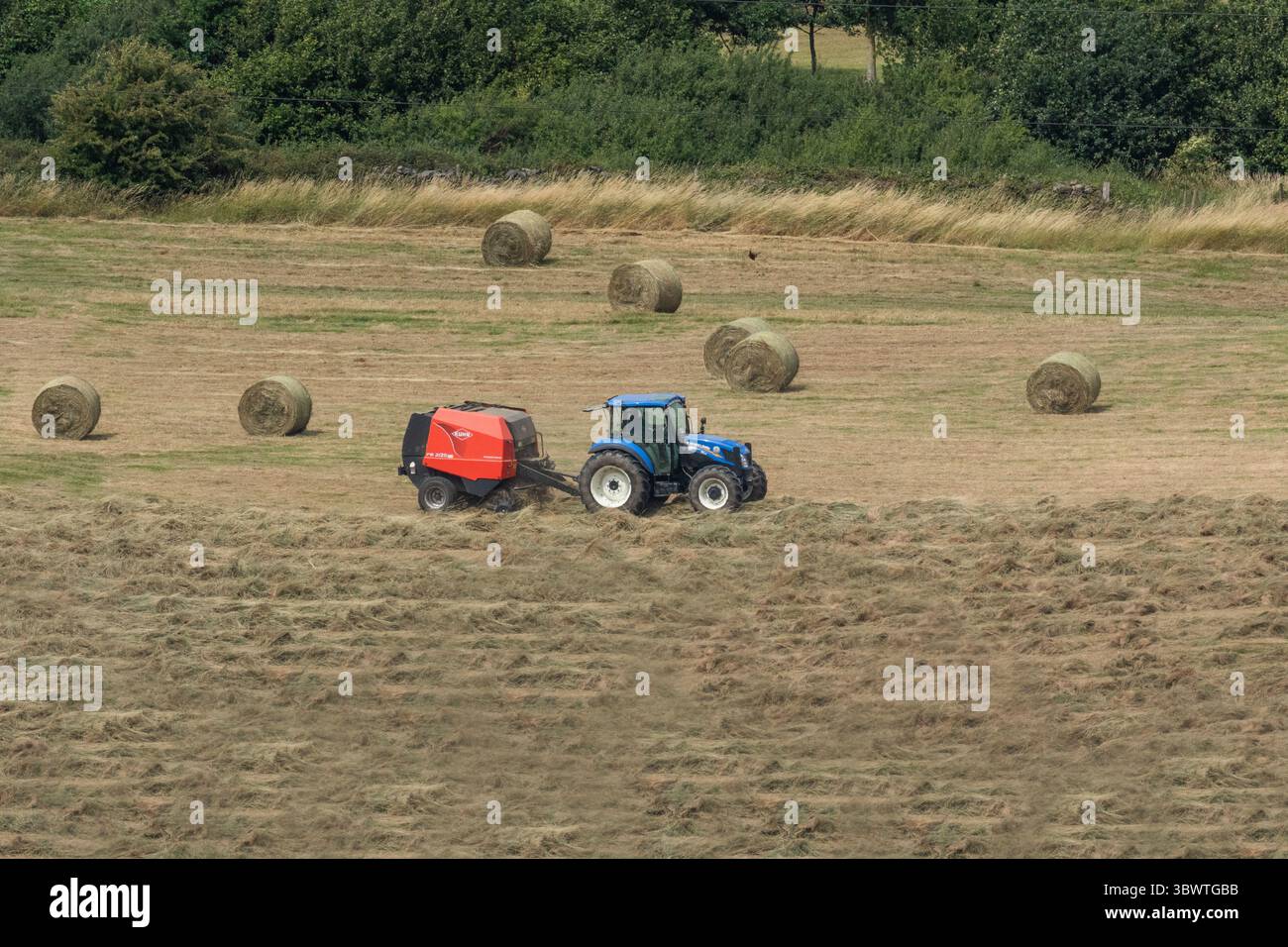 Tracteur bleu tirant une machine de mise en balles d'ensilage (presse à foin) dans le Yorkshire. L'herbe coupée est ramassée et transformée en balles prêtes à être entreposée. Banque D'Images