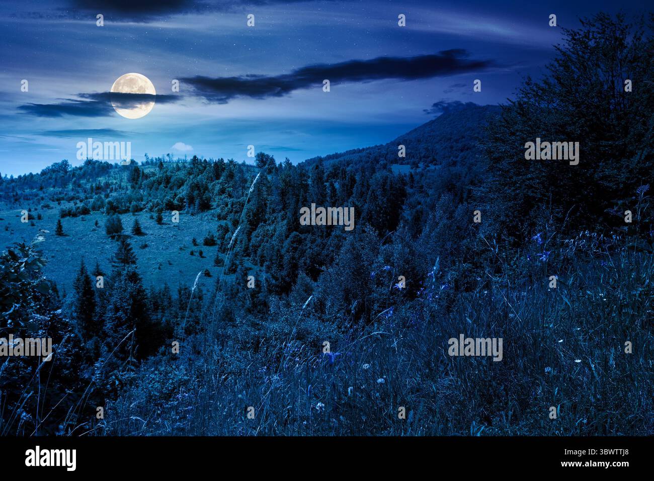 paysage d'été avec forêt sur la colline la nuit. vue panoramique sur les hauts plateaux en pleine lune. aventure en plein air et fond de voyage pour la randonnée et Banque D'Images paysage d'été avec forêt sur la colline la nuit. vue panoramique sur les hauts plateaux en pleine lune. aventure en plein air et fond de voyage pour la randonnée et Banque D'Images
