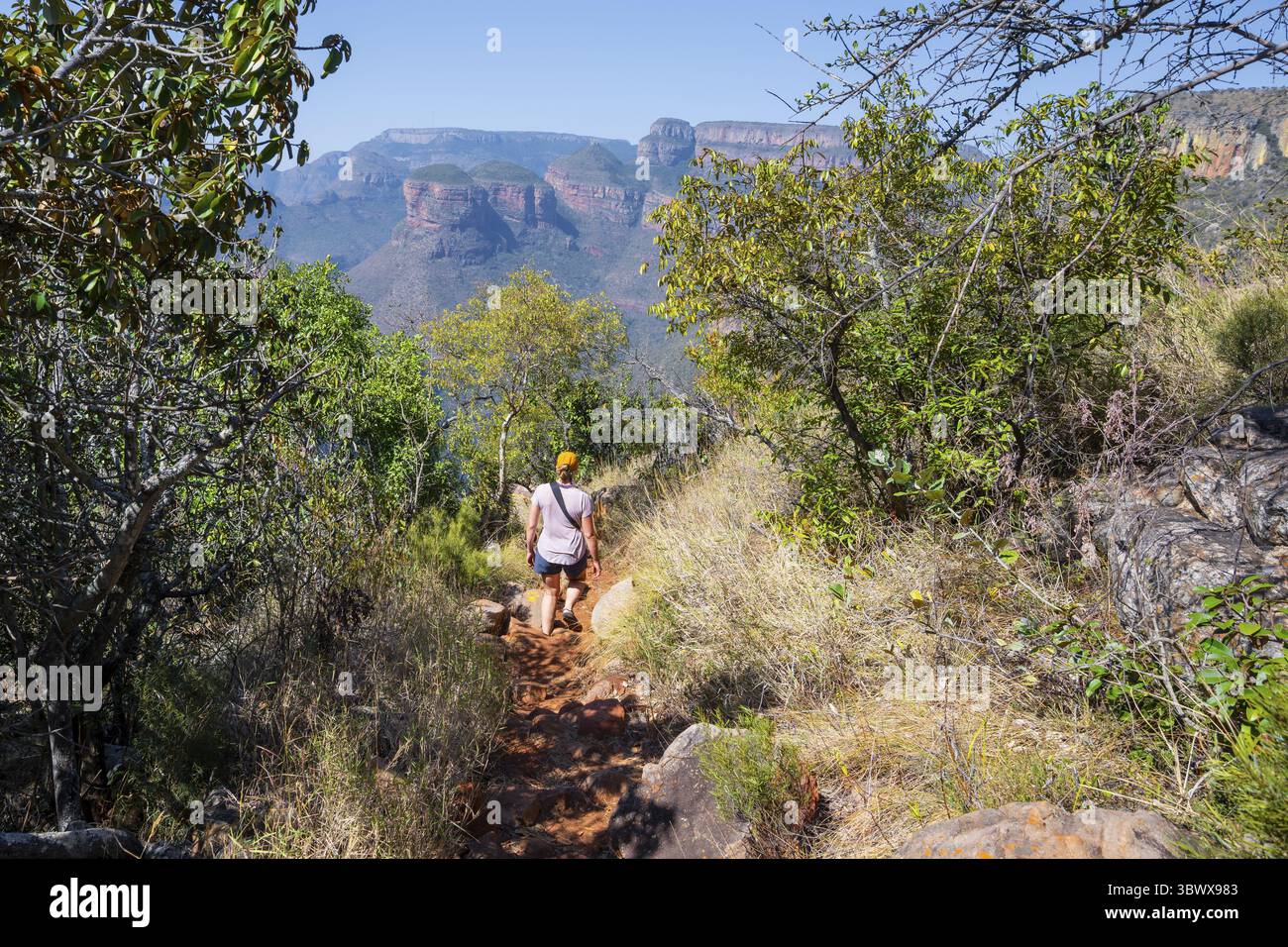 Randonneur dans le paysage du canyon de Blyde River, Panorama route, Mpumalanga, Afrique du Sud Banque D'Images