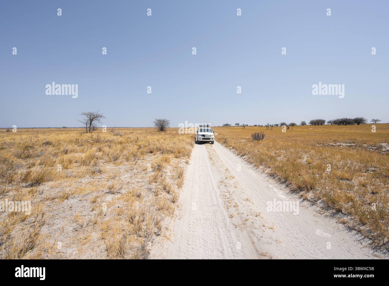 La voiture hors route explore le paysage aride, les marais salants de Makgadikgadi, Botswana Banque D'Images