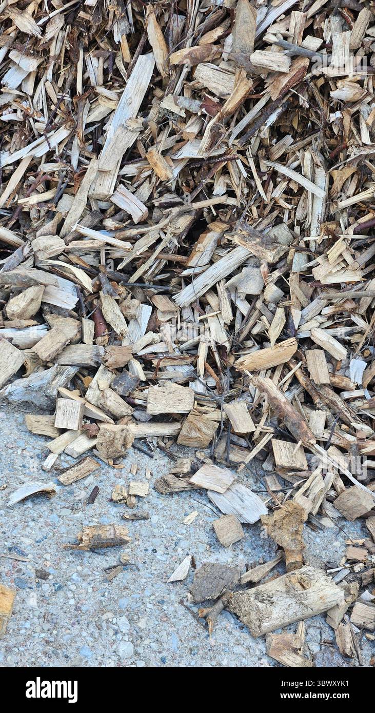 Texture de paillis de bois – fond naturel de couverture de sol Banque D'Images