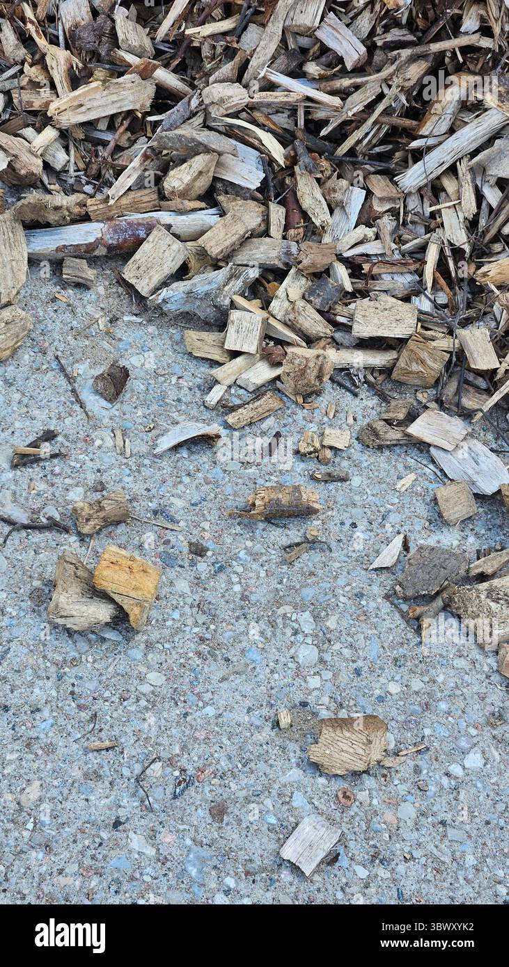 Texture de paillis de bois – fond naturel de couverture de sol Banque D'Images