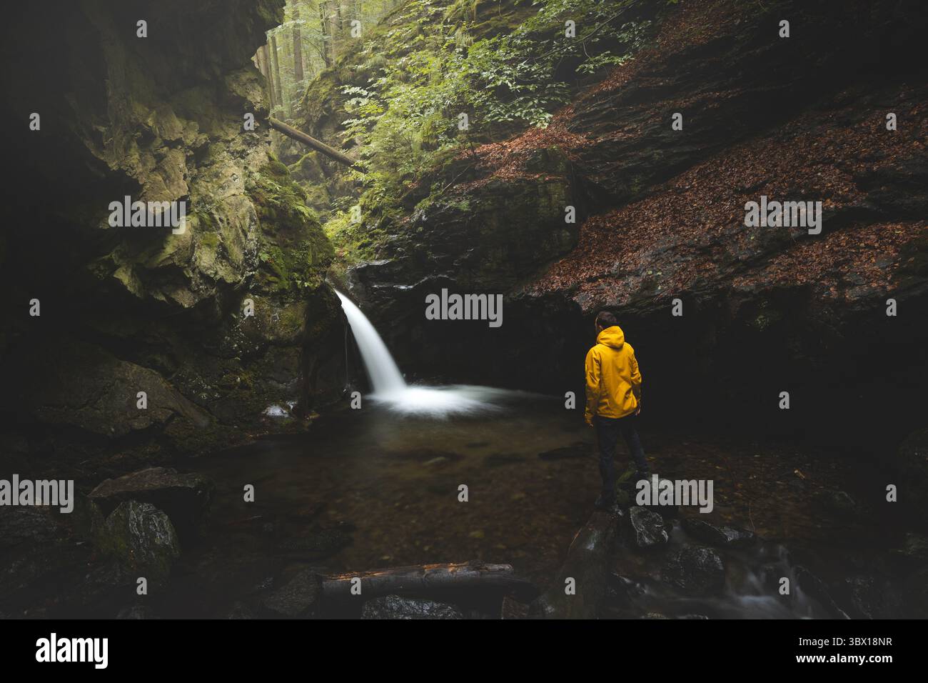 Randonneur vêtu d'une veste de pluie jaune vif se tient sur des pierres humides à côté d'une cascade de forêt isolée, regardant le torrent couler lisse d'une alcôve rocheuse à l'intérieur Banque D'Images